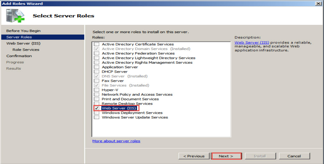 select the “Web Server (IIS)” option and click on the “Next”