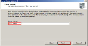 Training to Install Domain Name System (DNS) In Windows Server 2008 zone name next 11