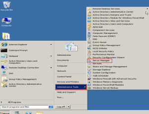 Select the “Administrative Tools” option and click on the “Server manager”