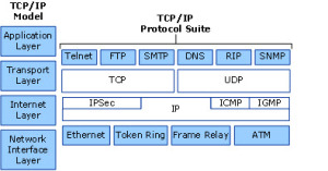 Training DNS (Domain Name System and Its Different Uses OSI Model